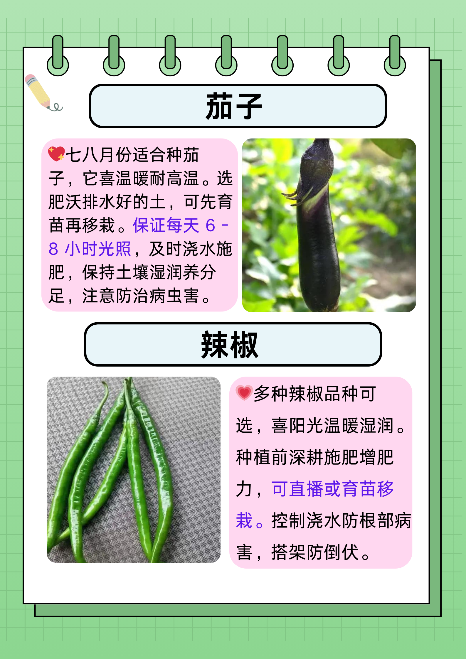 如何选择适合的配菜