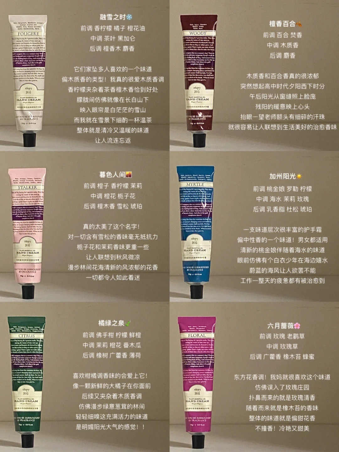 法式橙花奶油饼的经济实惠制作方法_金年会