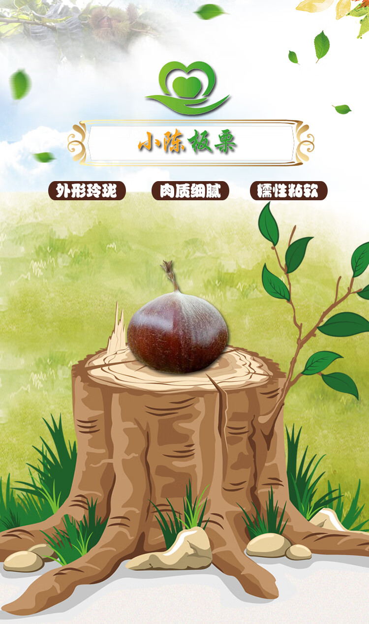使用新鲜栗子和罐装栗子的区别是什么